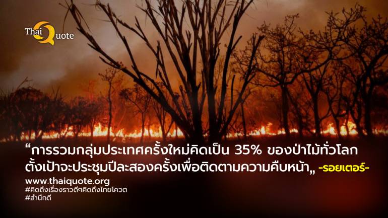 นานาประเทศร่วมมือกันรักษาสัญญาไม่ตัดไม้ ทำลายป่าในการประชุม COP27
