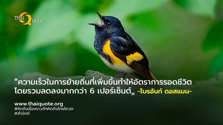 นกสามารถปรับตัวให้เข้ากับการเปลี่ยนแปลงสภาพภูมิอากาศได้โดยการเร่งการอพยพ